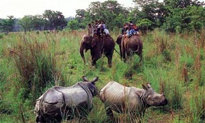 Bardia National Park